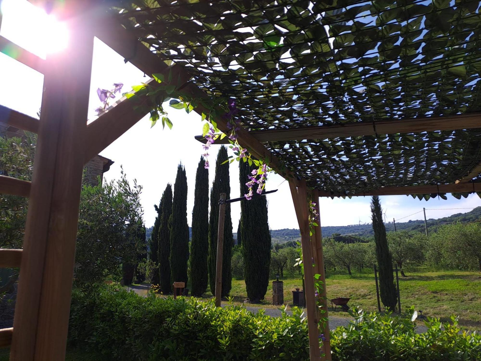 Podere Oliveta Montecatini Val di Cecina Exterior foto
