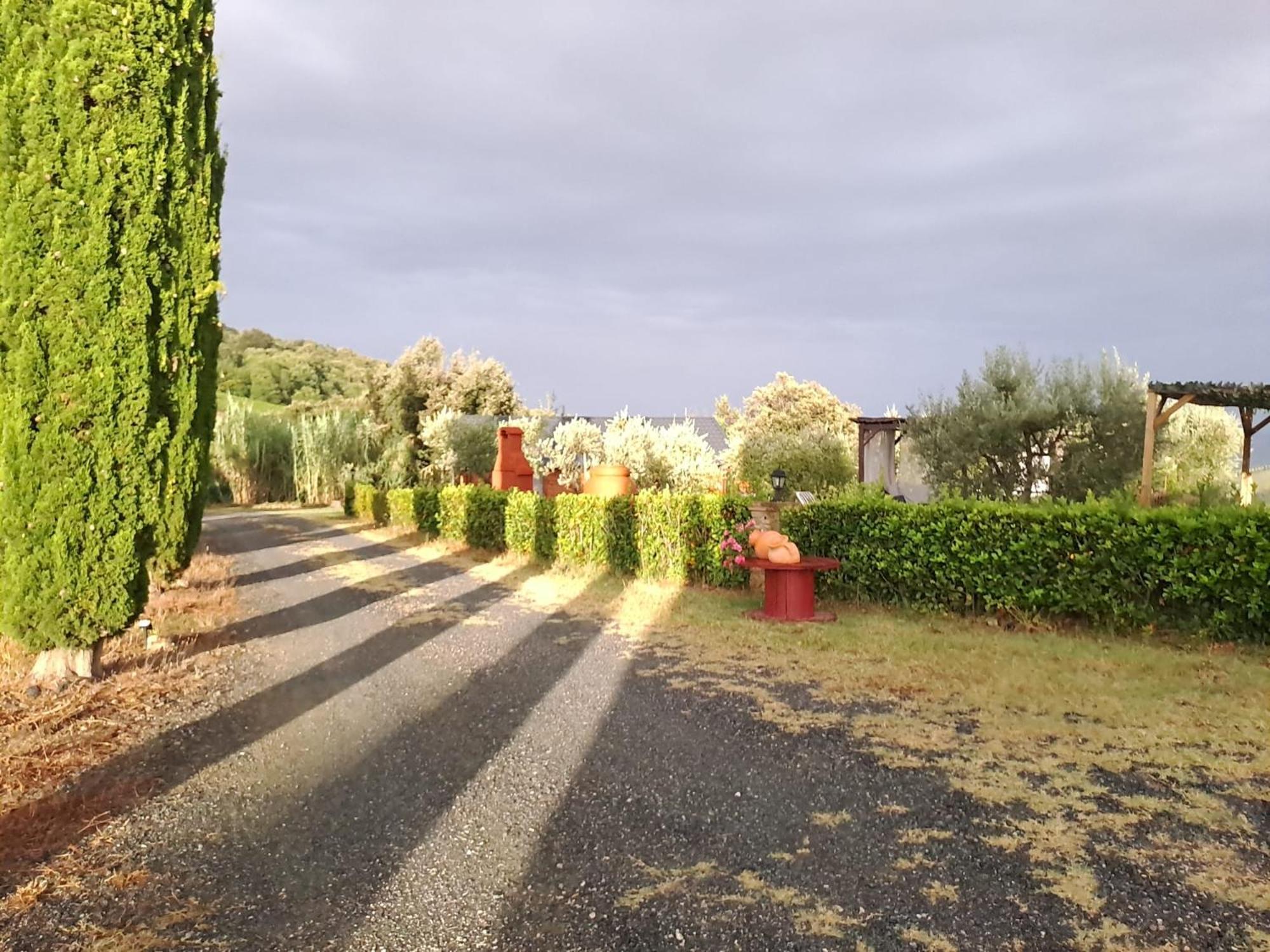 Podere Oliveta Montecatini Val di Cecina Exterior foto